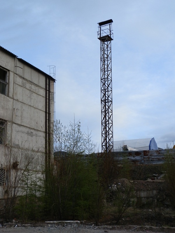 P6011792
