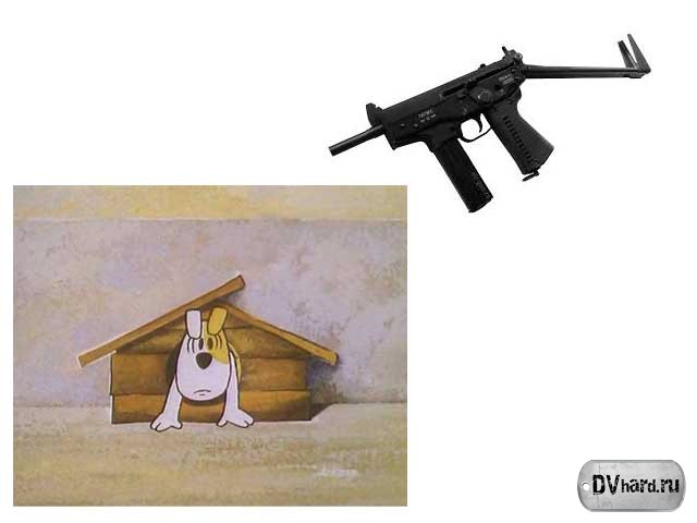 Рэкс - Сленг
