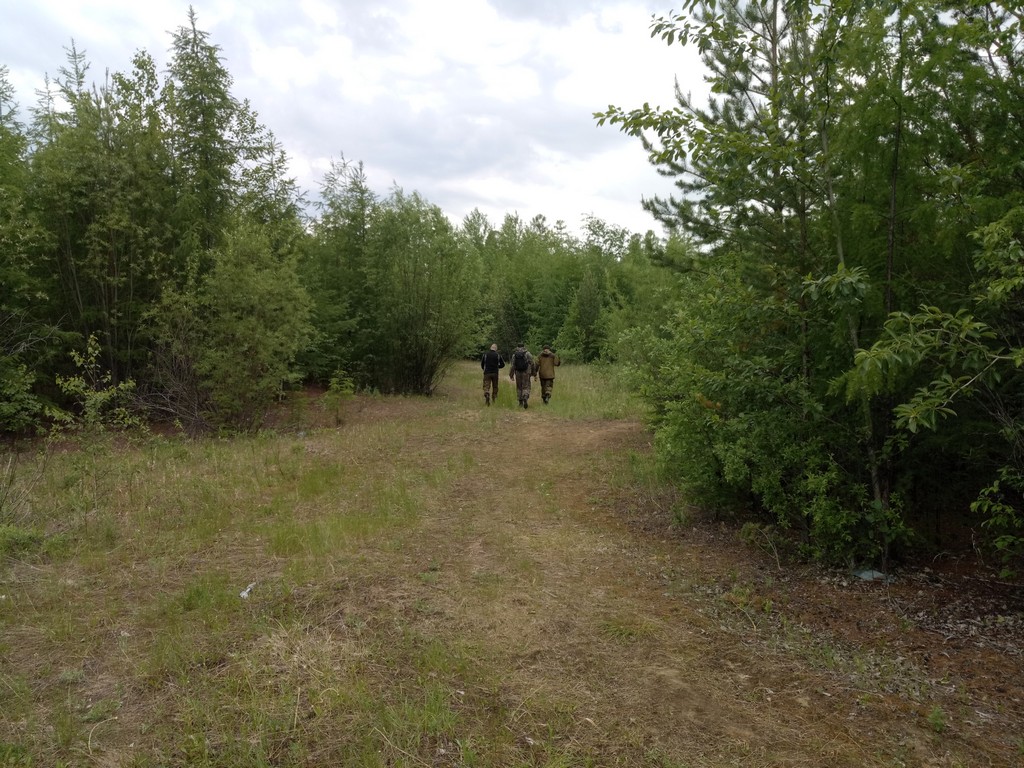 IMG 20170616 073619